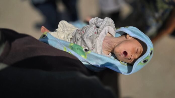 gaza-2